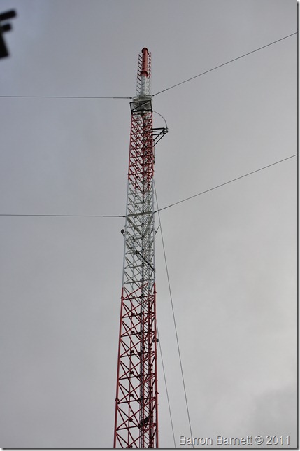 DSC_0098 DSC_0098
