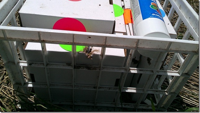 IMAG0172 IMAG0172